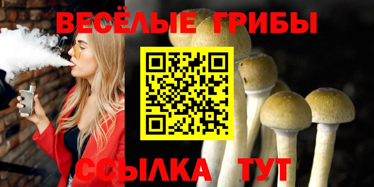 Коркино  Псилоцибиновые грибы GOLDEN TEACHER  купить закладку  Вход с VPN 