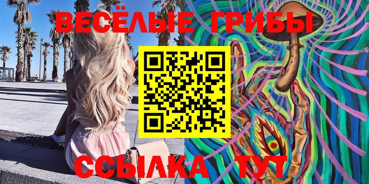 Галлюциногенные грибы Cubensis Коркино